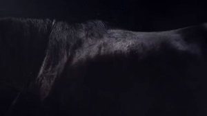 Enigma - Smell of Desire