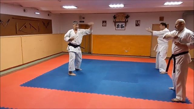Каратэ. Отработка ударов