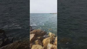 ДЖУБГА Молчанова пляж 03.03.2024