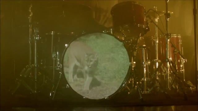 One Republic If i lose myself кроссовки new balance, iPhone, наушники Beats смотреть онлайн