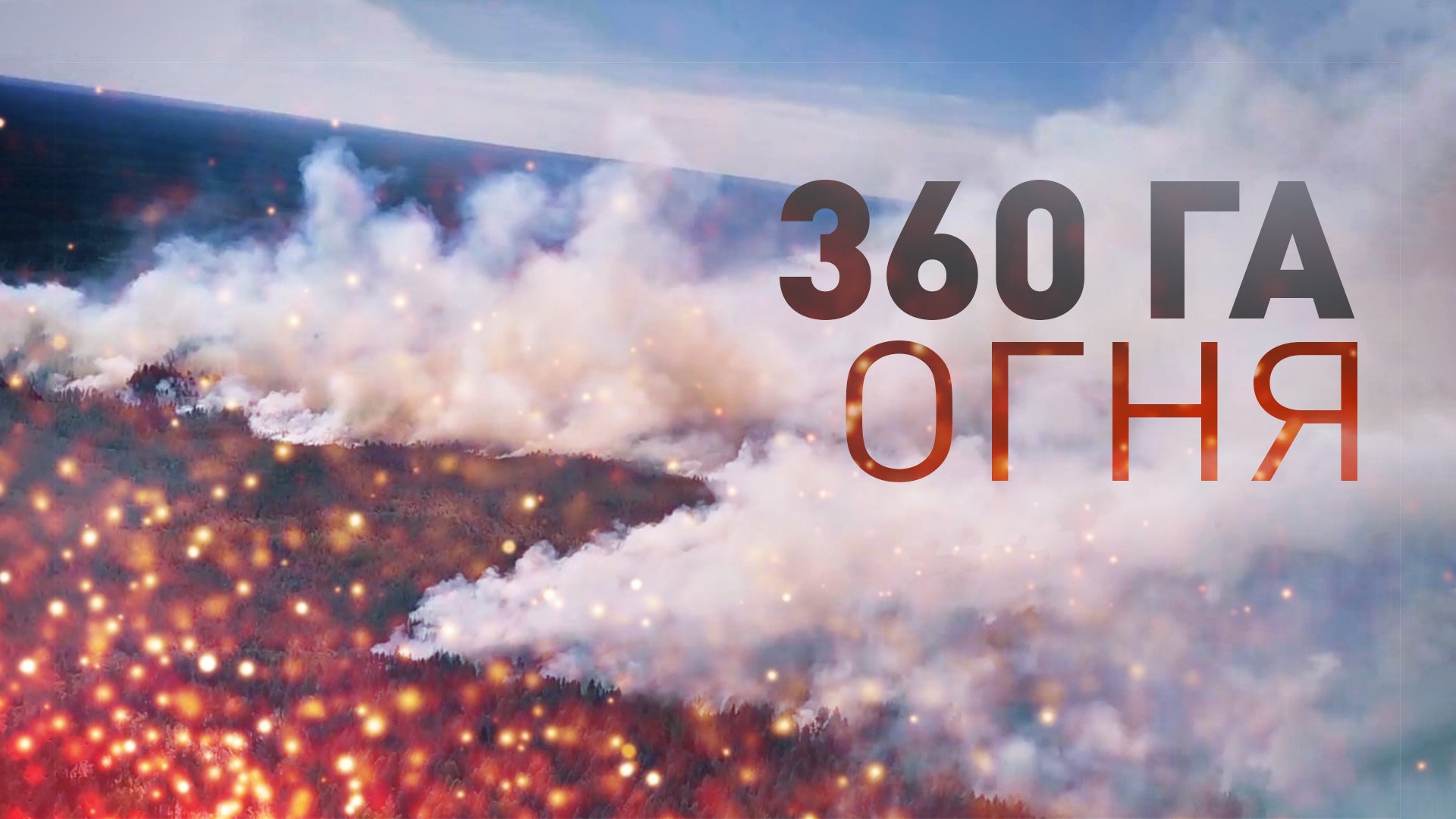Площадь пожаров в Нижегородской области достигла 360 га — видео