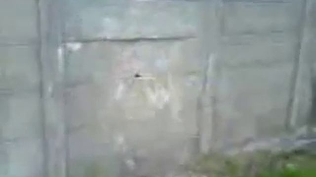 мужик VS стена смотреть онлайн