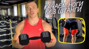 БЕЗОПАСНЫЙ комплекс упражнения на НОГИ: Тренировка с помощью гантелей