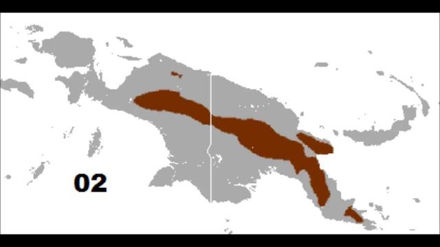 The Animal Kingdom - 002 Long Beaked Echidna смотреть онлайн