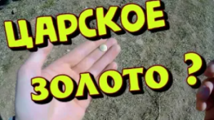 Коп в Подмосковье. Выезд на Урочище и поиск с металлоискателем!