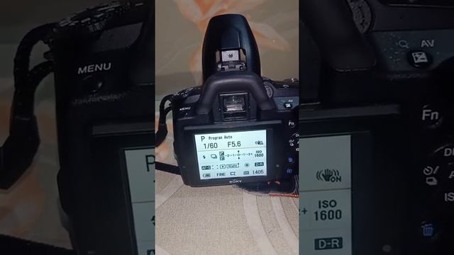 kamera Sony Alpha 390 смотреть онлайн