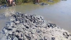 Добываем лиманского червя в Седово, для ловли пеленгаса!