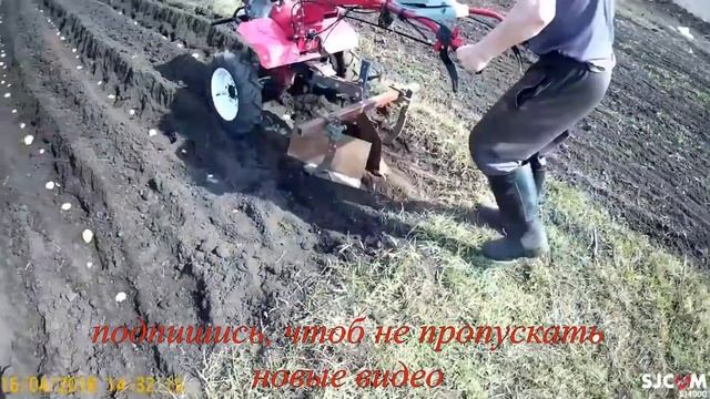 Посадка картофеля мотоблоком / Planting potatoes tillers
