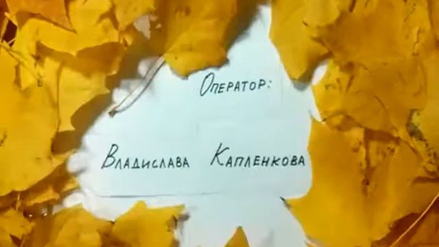 Титры Музыкальные
