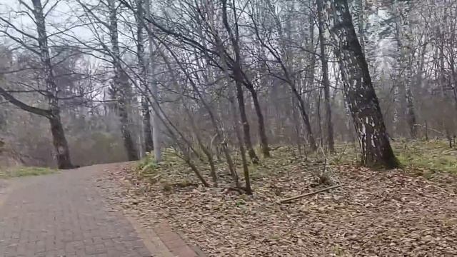 Мда..моя НЕ тянет на 26 т р!)) Новый КРЕМ. ЗАКУП в ЛЕНТЕ. смотреть онлайн