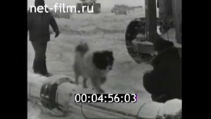 Строительство газопровода Мессояха - Норильск. 1969 год. Подводный переход через Енисей. Norilsk.