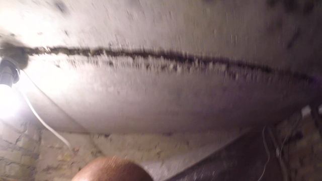 дендробена мята в борьбе с мышами не помогает, теперь проверенно, дорого и не работает! смотреть онлайн