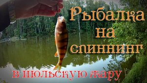 Трудовая рыбалка в жару