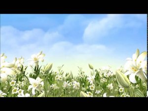 Мульт "А может быть ворона?!" )))