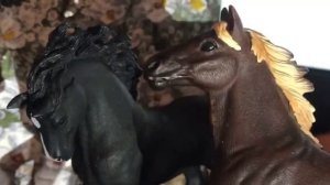 Лошади шляйх(schleich)играют в"правда или действие"💗🐎