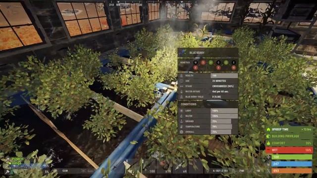 Дневники Rust 2. Огород. Выращивание ягод и производство чая