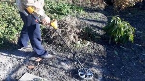 GARRETT ACE 250 + 10дд10 кгц "Альтернативная" Обзор,Тест