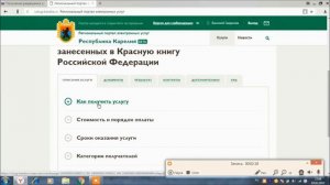Разрешение на охоту  Получение путевки через Гос услуги