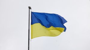 ЧТО ТВОРИТСЯ С АРЕСТОВИЧЕМ? ПОДОЛЯКА ПОДСКАЗАЛ: "ПОНЯЛ, ЧТО ДЕЛО УКРАИНЫ ТРУБА"