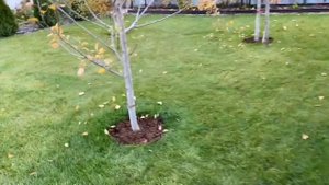 Садовый пылесос GREENWORKS GBV2800W отзыв