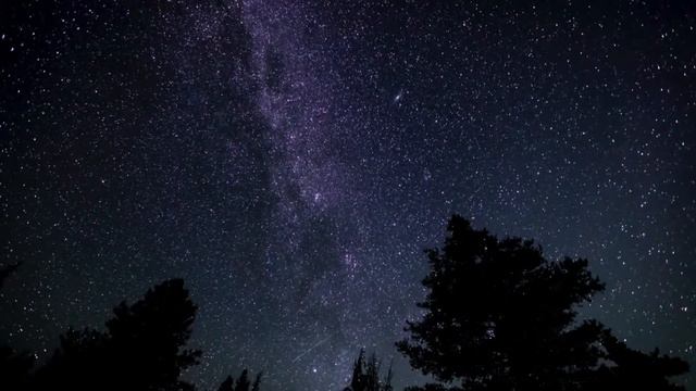 Starcape.........with Behringer 2600 Waldorf Quantum Roland Fantom 6 смотреть онлайн