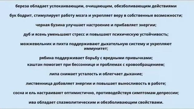 Магические свойства сосны