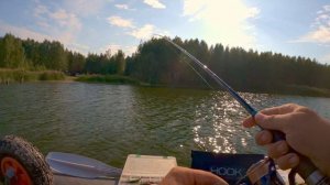 Как рыба реагирует на необычные приманки? Рыбалка на спиннинг осенью на озере. Рыбалка в Тюмени.