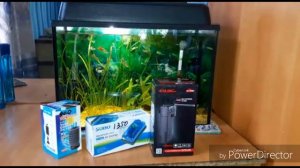 Мой первый аквариум на 20 литров, что в нём живёт и растёт.