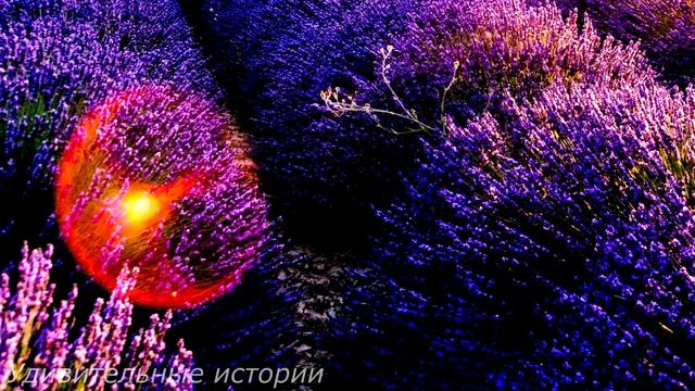 Мать-кукушка променяла трёх дочерей на любовника и оставила их на  соседку. А спустя 20 лет… смотреть онлайн