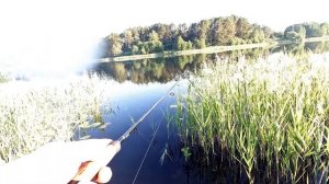 Ловля окуня в жару на тейлспинер!!!Рыбалка летом.Лучшая приманка на окуня в жару!!