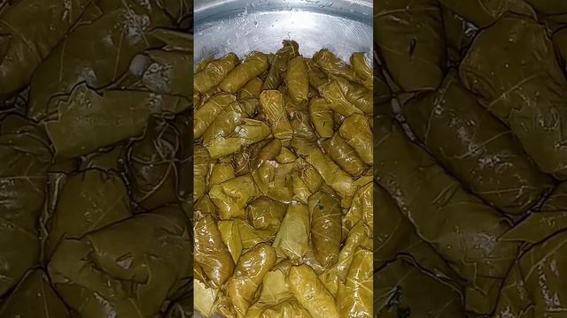 Vine Leaves ? Mashy | Best Ever Homemade Egyptian Mashy Recipe #millionviews #viral #yummy