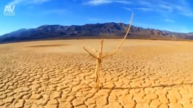 "Земля-наш общий дом" Урок русского языка в 4 классе. смотреть онлайн