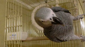 1 апреля - день улыбок и веселЬя)! и...у Жана День РожденЬя)!