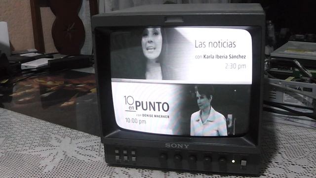 monitor sony PVM-96 CRT смотреть онлайн