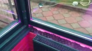 Как выглядит теплица из стекла