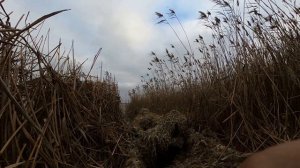 Охота на утку!  Астрахань!