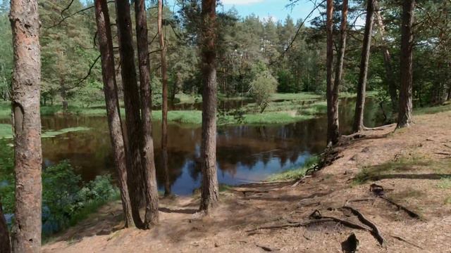 Вело ПВД вдоль Нерской смотреть онлайн
