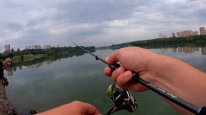 С микроджигом на Борисовские пруды!И всё таки судачки тут есть!!!