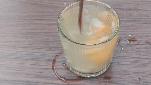 Brilliant idea Grow Guava At home New technique смотреть онлайн