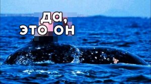 КАК МЫ ПОИГРАЛИ В DANGANRONPA [TarelkO]