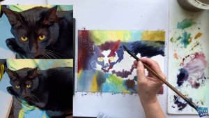 Кот Яшка.