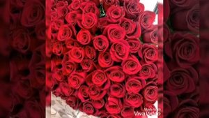 Мария мартинес и  ABI прошу любовь