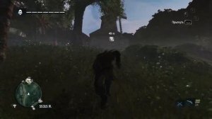 Старый играет в Assassin’s Creed IV: Black Flag (Черный флаг) Прохож�