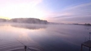 ЛОВЛЯ КАРПА НА СЛАДКУЮ ВОЗДУШНУЮ ПШЕНИЦУ(КАРАМЕЛЬ)  РЫБАЛКА В КОКИНО (ОСНОВНОЙ)