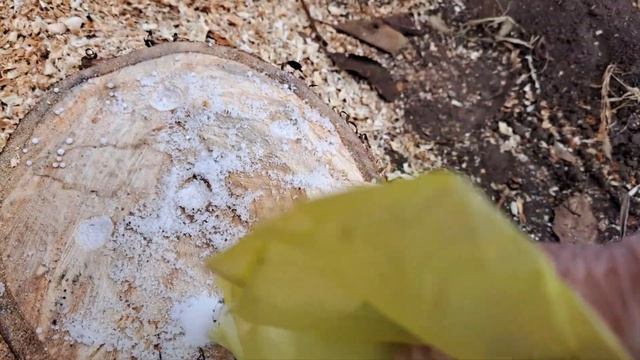 Удаление пней без корчевания.
