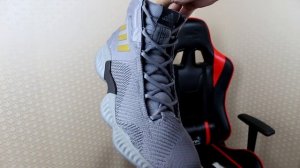 БЫСТРЫЙ – adidas Pro Bounce 2018 (обзор)