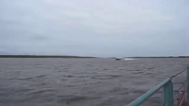 Автомобильный паром р Обь смотреть онлайн