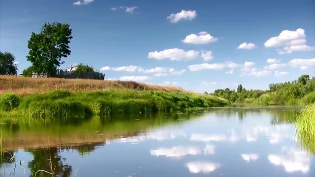 Бомжи выкопали гроб, чтобы мать попрощалась с сыном-солдатом. Заглянула под крышку – и УЛЫБНУЛАСЬ.. смотреть онлайн