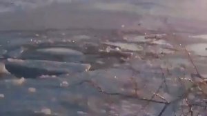 Неудачная зимняя рыбалка в Шарыпово