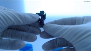 Шоколадные яйца Чебурашка, Крокодил Гена, с игрушками внутри, обзор